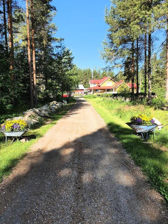 Toivonniemen Kotimajoitus Appartement Paltaniemi Buitenkant foto